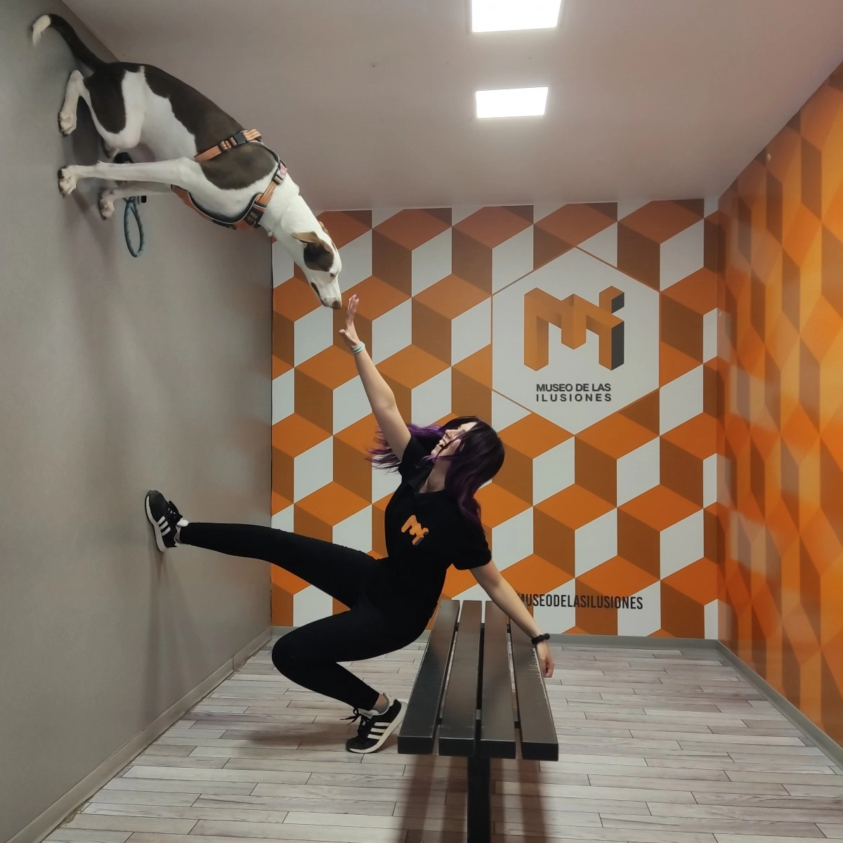Deja tu Huella en el único museo petfriendly de toda Sevilla